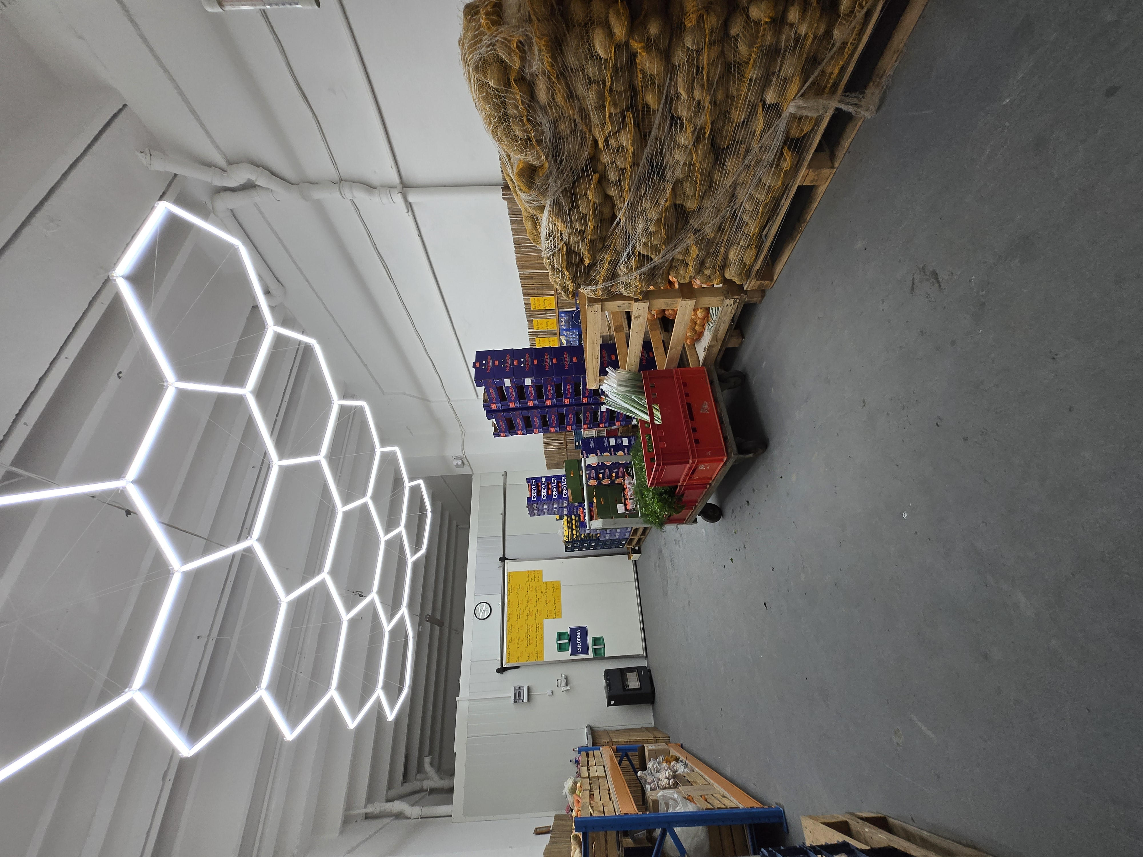 Wnętrze hali z regałami pełnymi warzyw i owoców