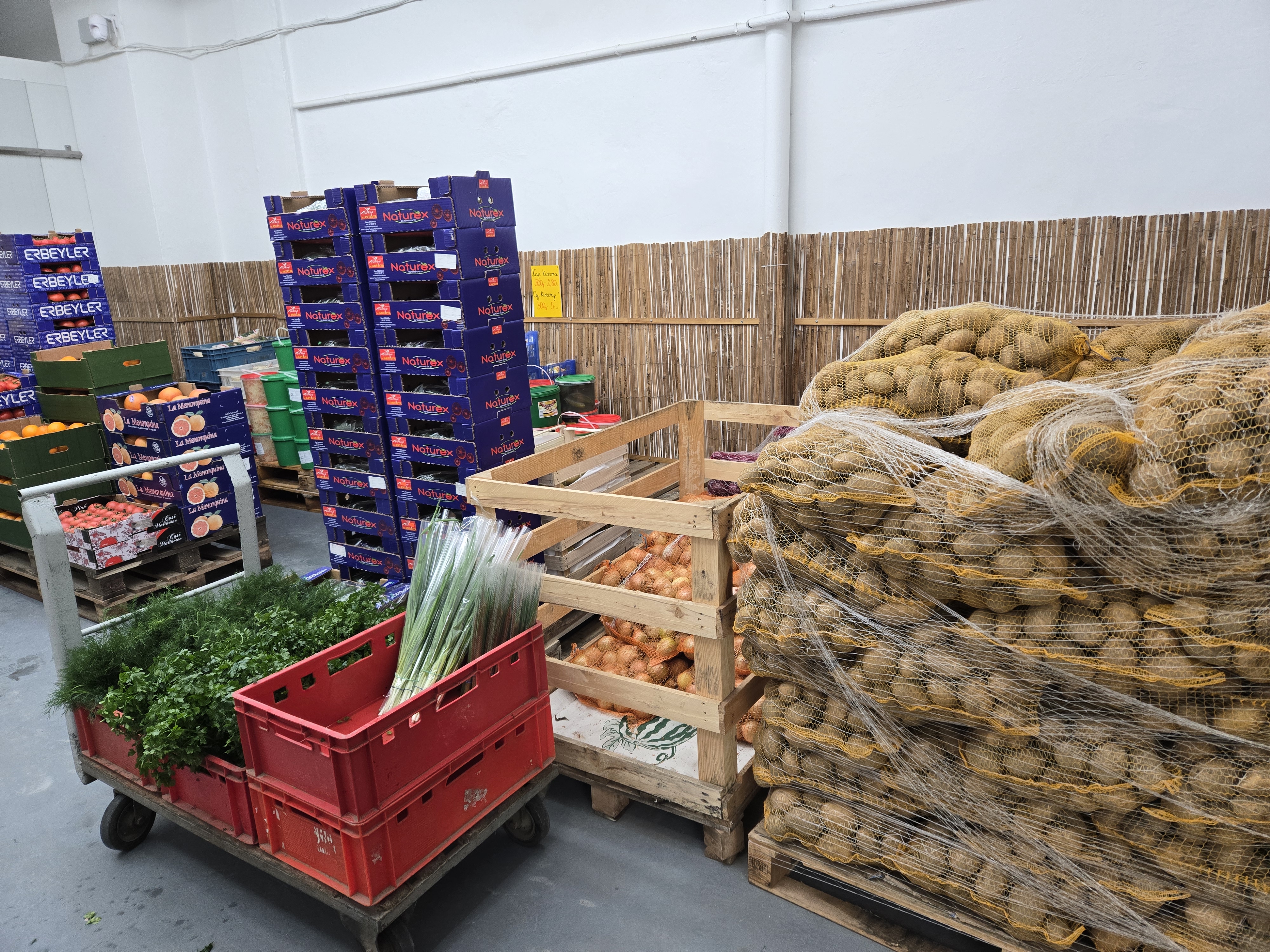 Warzywa korzeniowe w skrzynkach