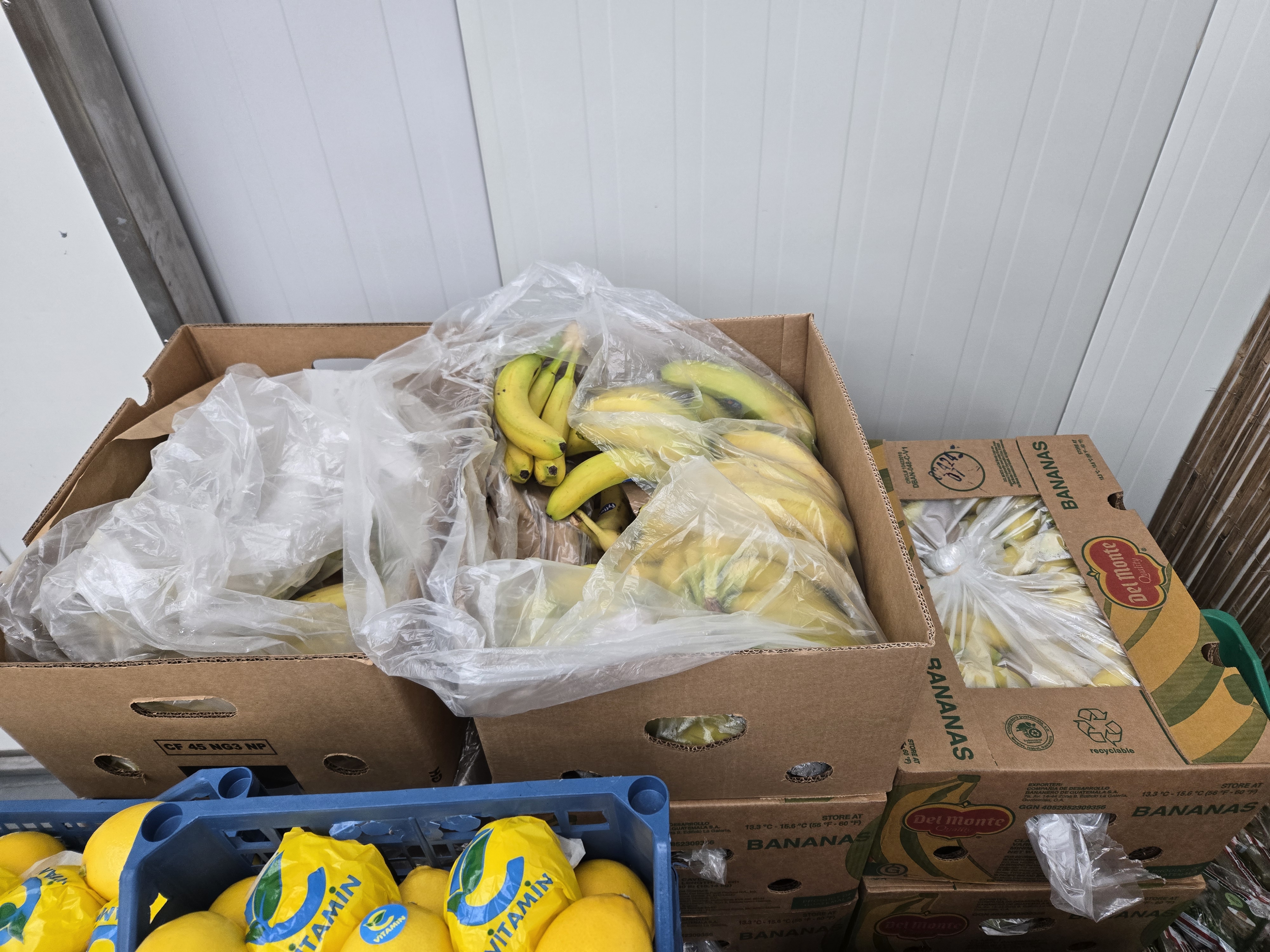 Warzywa na paletach w hali hurtowni Vitamina