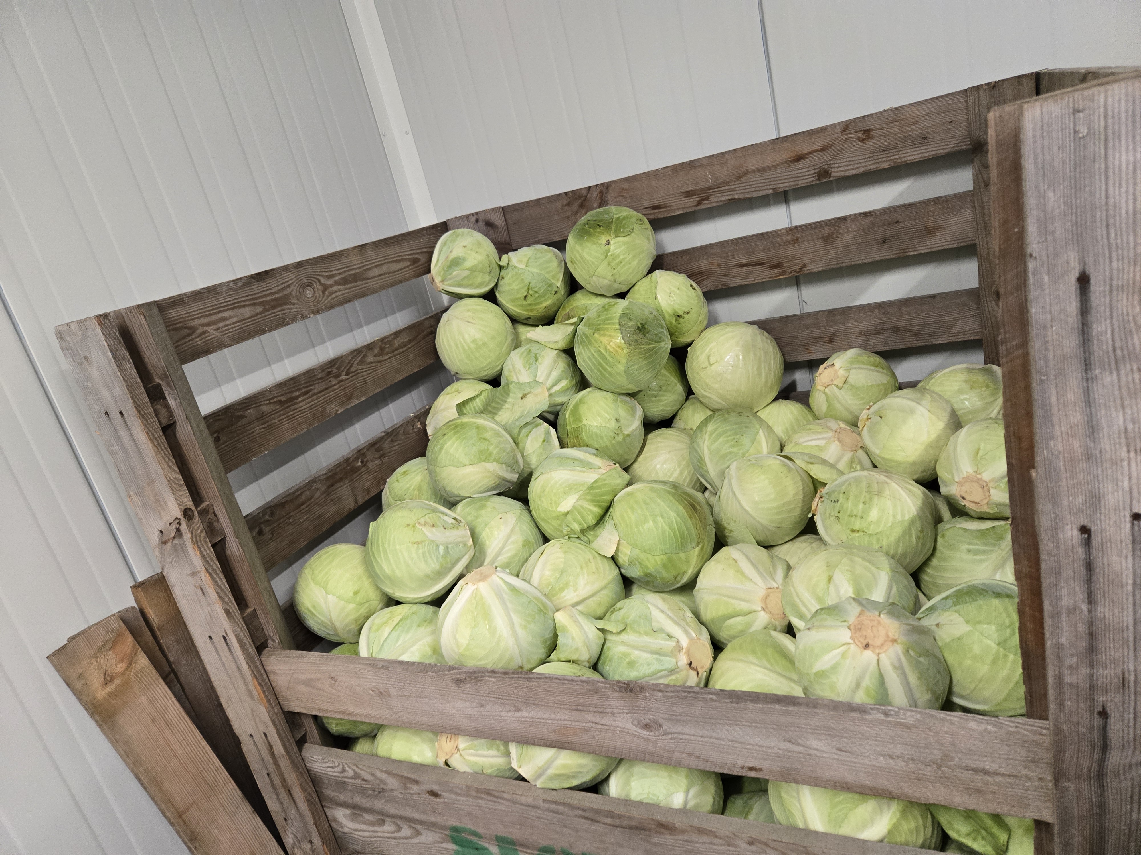 Stoisko z warzywami w hurtowni Vitamina