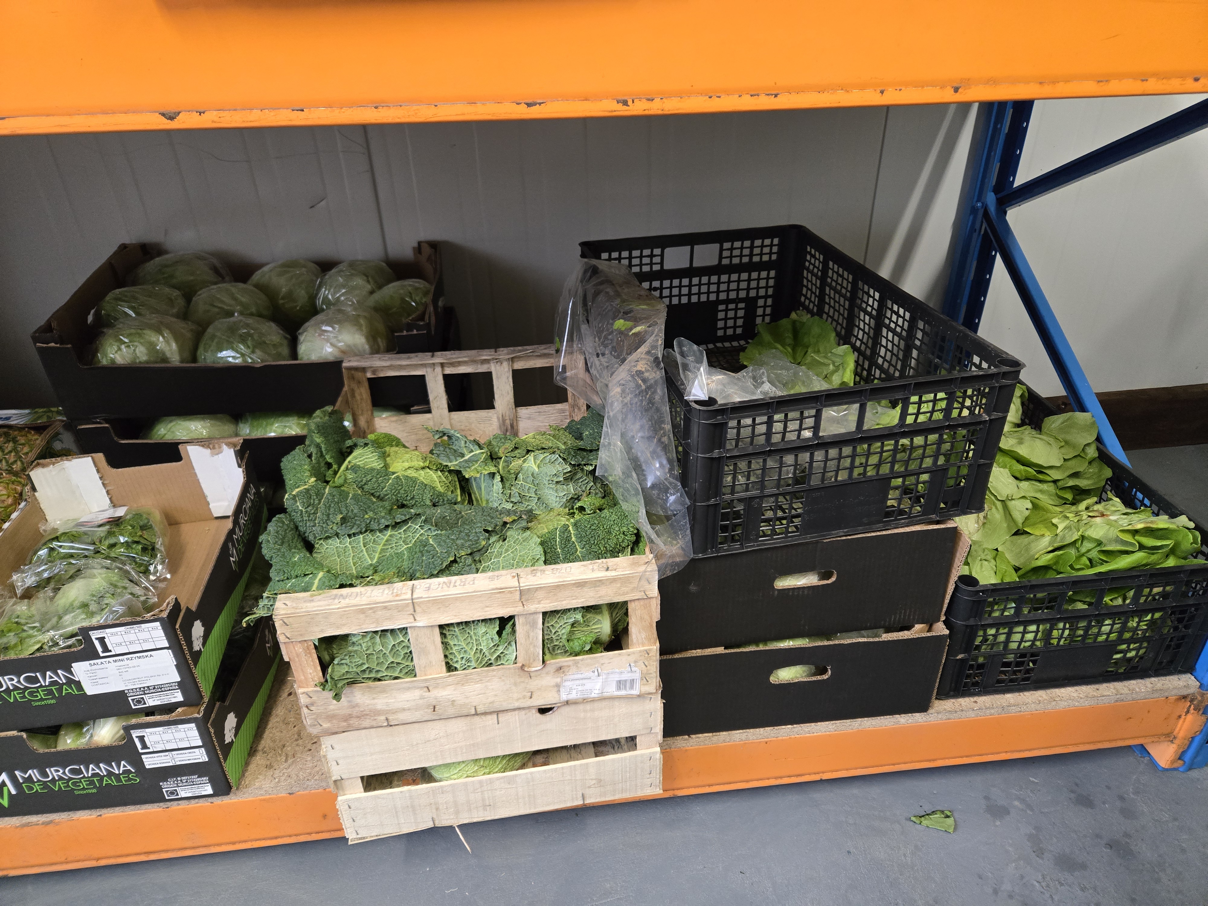 Regał z różnymi warzywami i owocami